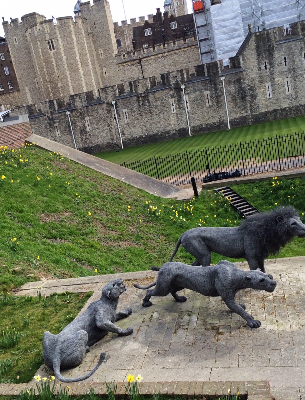 Perfectly Amusing The Zoo at the Tower of London