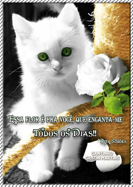 flor.gif