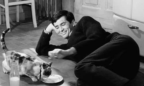 Five%2BMiles%2Bto%2BMidnight%2B1