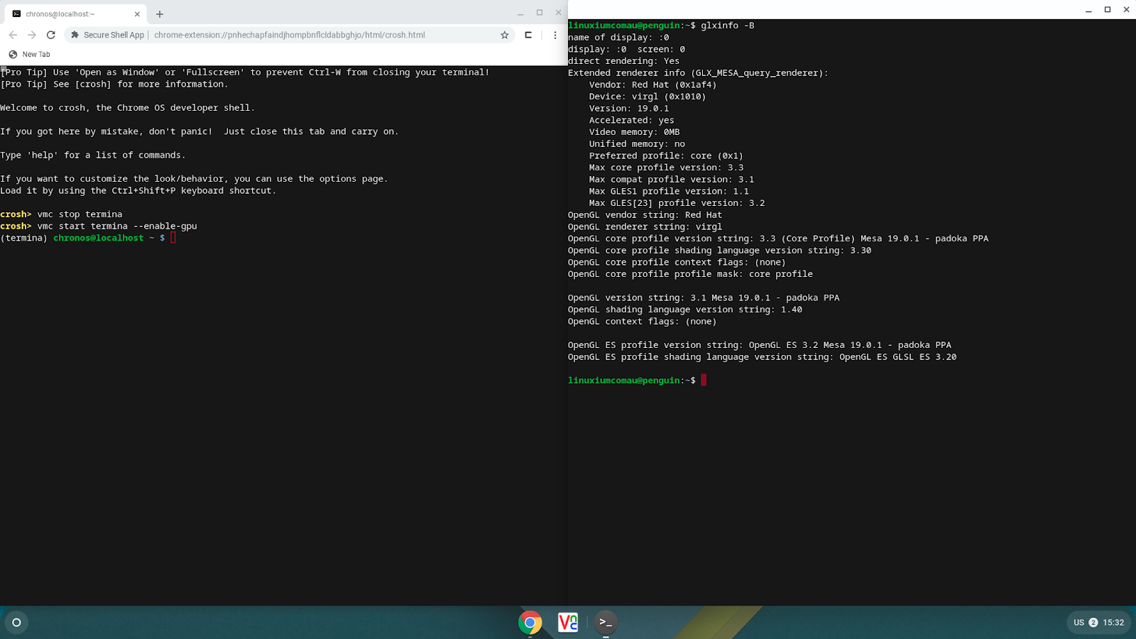 crostini 'enablegpu' not the panacea DevsDay.ru