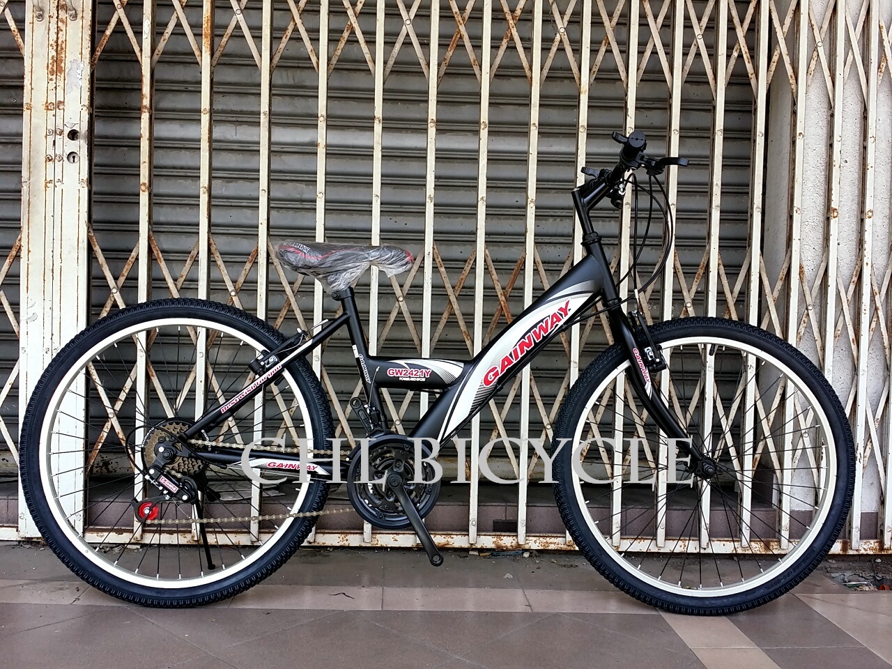 CHOO HO LEONG (CHL) Bicycle 24" Gainway 21 Speed YBike