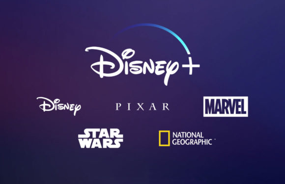 شركة Disney تقوم بكشف عن خدمتها لبث الافلام