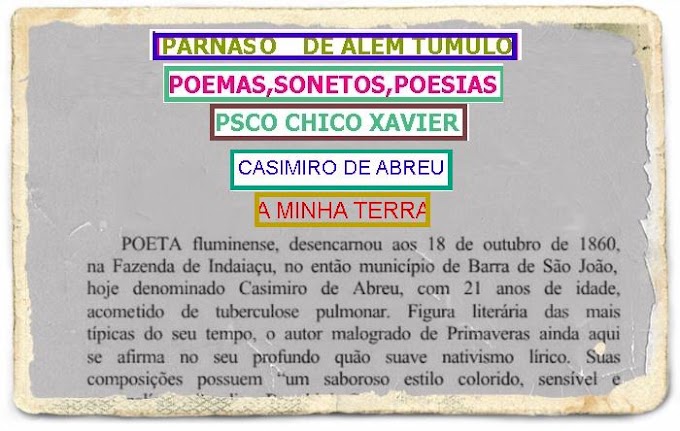 POEMAS E POESIAS DE PARNASO DE ALEM TUMULO