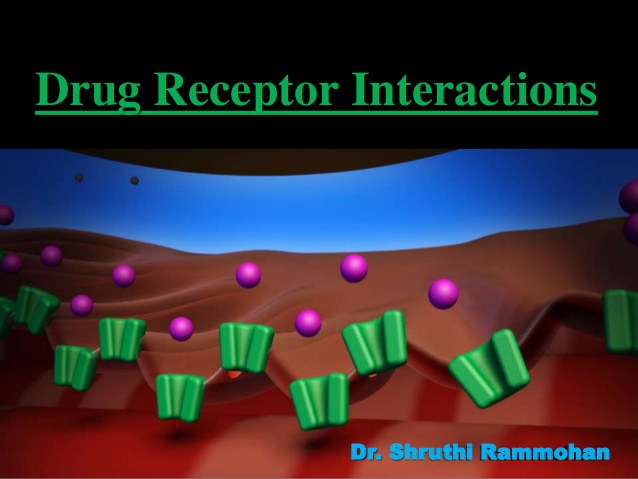 what is true relation to drug receptors