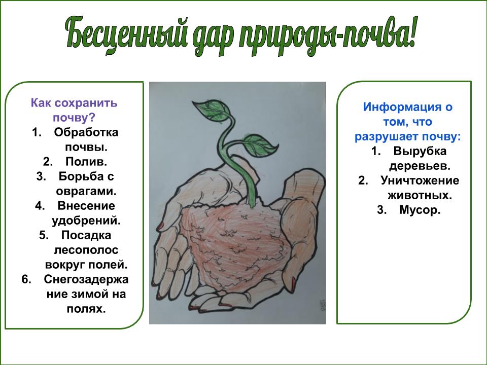 Как сохранить почву - Строй Групп