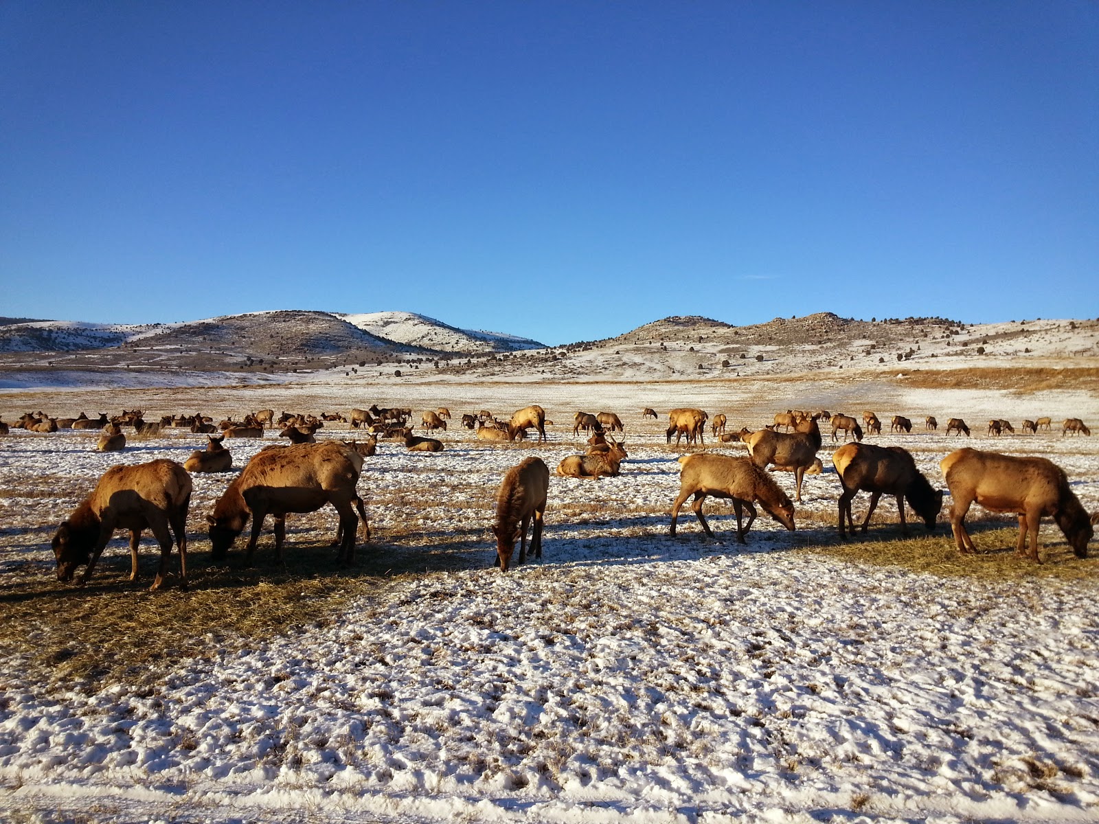 Scott's Twisted Travels Hardware Ranch, Hyrum Utah