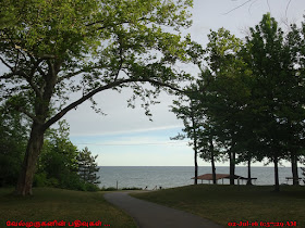 Lake Erie State Parks