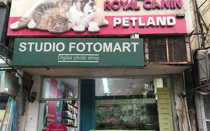 Top 10 Pet Shop In South Delhi