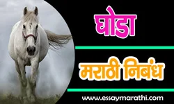 horse-essay-in-marathi