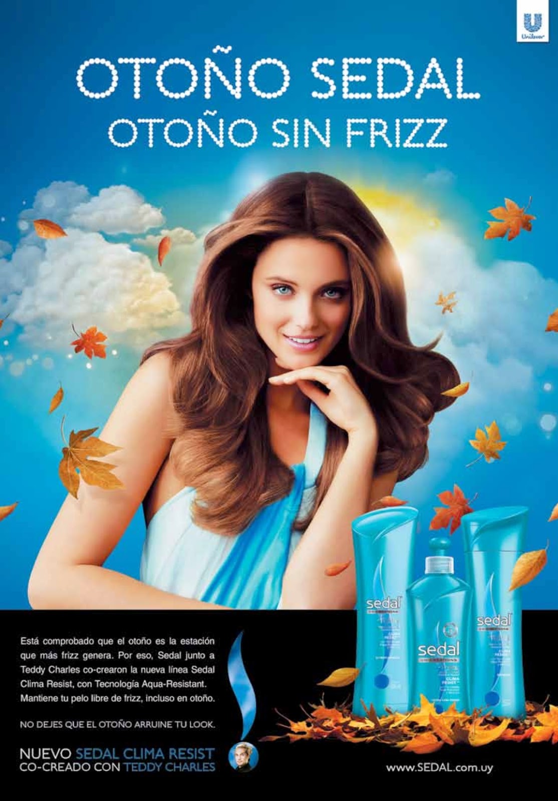 Gambar Contoh Desain Flyer Salon Kecantikan Bitebrands Gambar Iklan