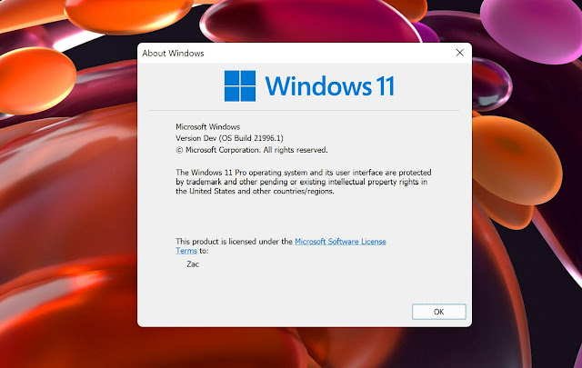 ويندوز 11 الجديد أصدار كامل Windows 11 Dev build 21996.1 Consumer Edition