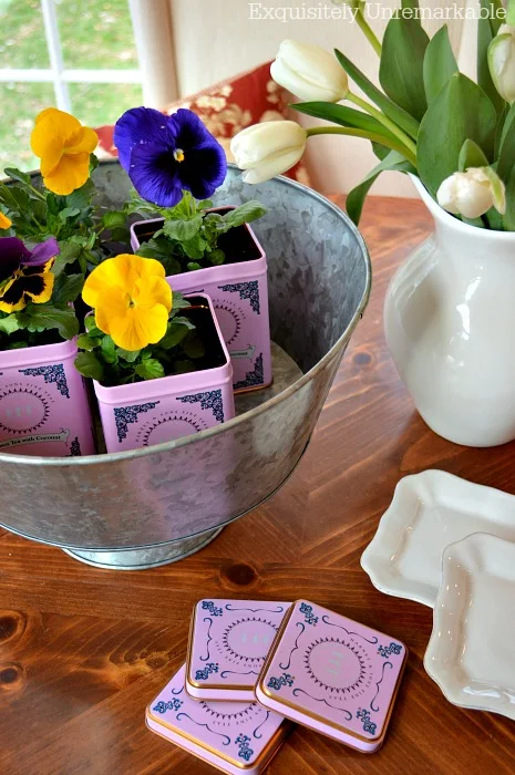 Pansies in metal tea tins on a table in a galvanized tub