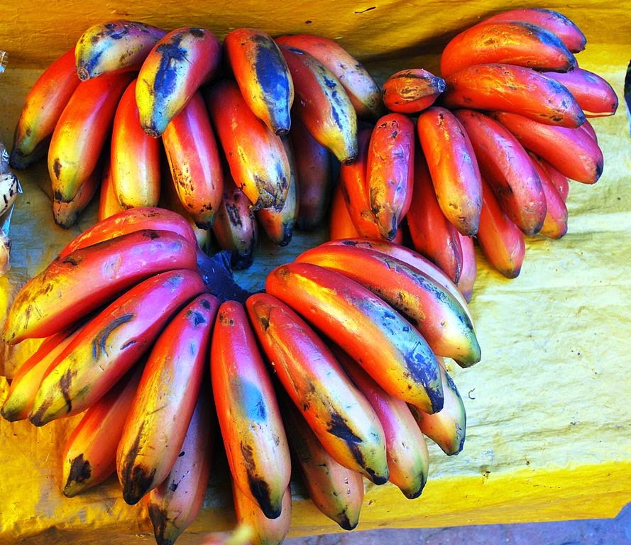 Frutee & Vegiee Exotic Red Bananas