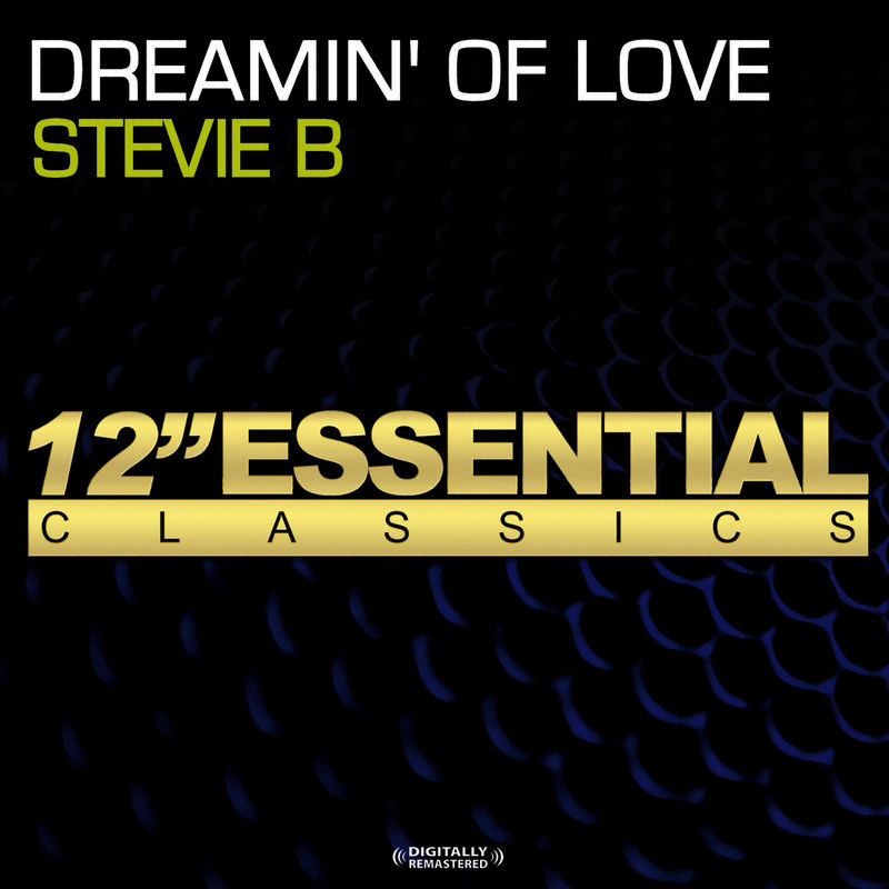 .: Stevie B - Dream About You - Remixes