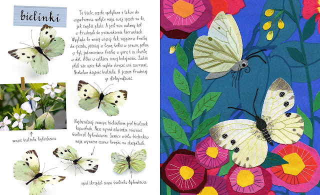 Resultado de imagen de mały atlas motyli pawlaków
