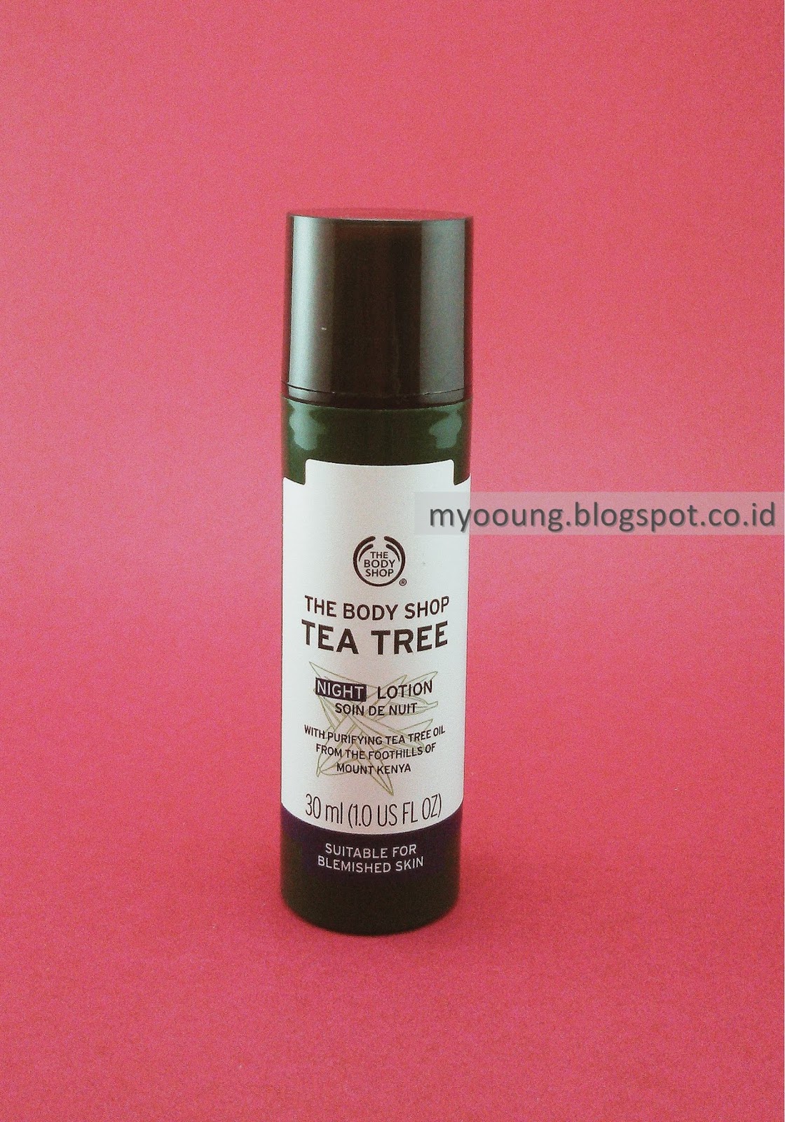 [Review] The Body Shop Tea Tree Night Lotion Myooung