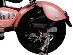 Động cơ Xe đạp điện Lixi Trái Nho với công suất 250W