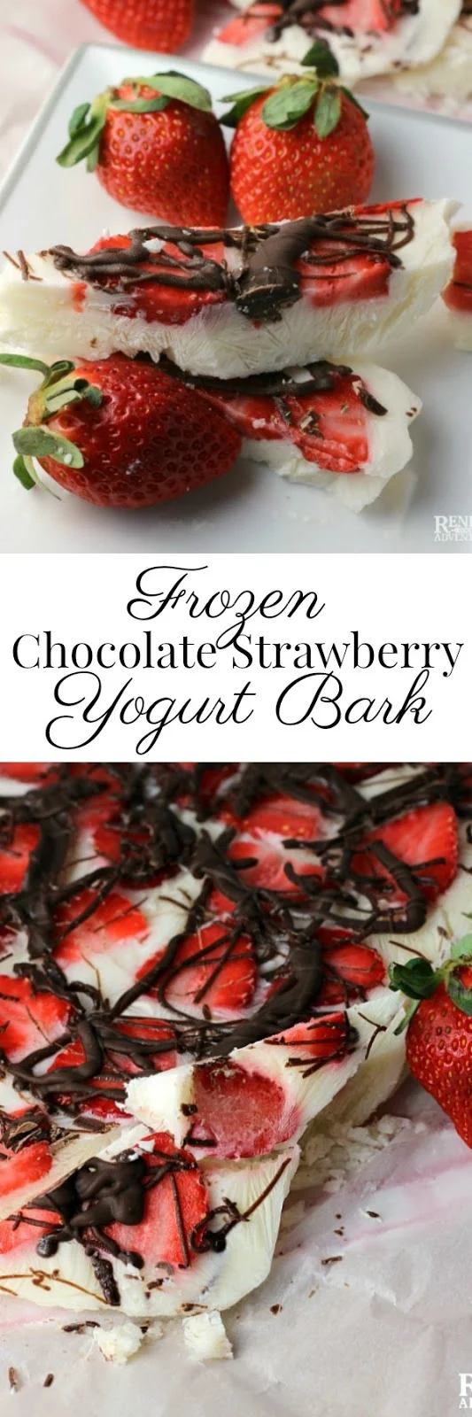 Frozen Strawberry Chocolate Yogurt Bark | Renee's Kitchen Adventures - Easy, healthy dessert or snack made with fresh Florida strawberries, yogurt, and dark chocolate @Flastrawberries #SundaySupper #FLStrawberry #healthysnack #healthyrecipe 