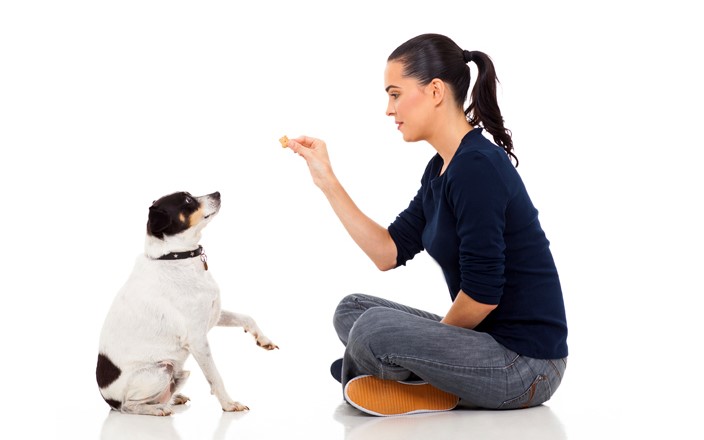 TREAT your dog to better health and obedience