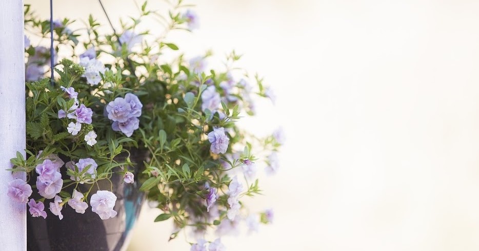 Cara Membuat Pot Gantung dari Tali Kawat dengan Mudah - Ketikanku