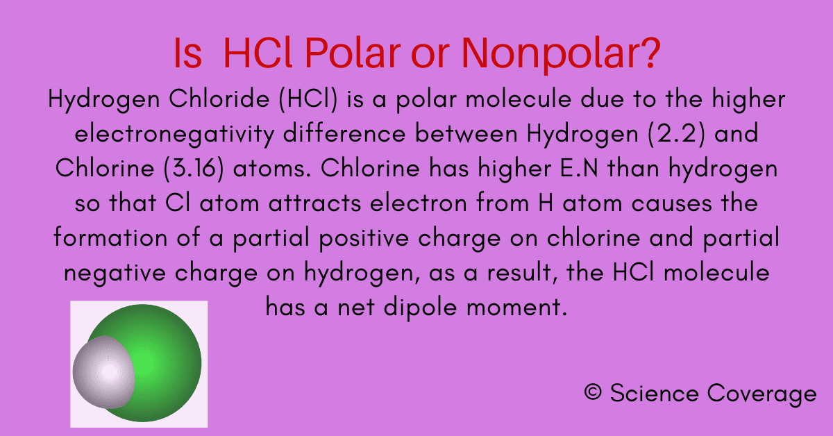 Is Hcl a Negative Ion?