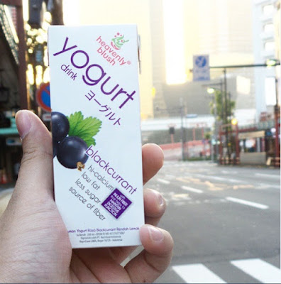 manfaat yoghurt