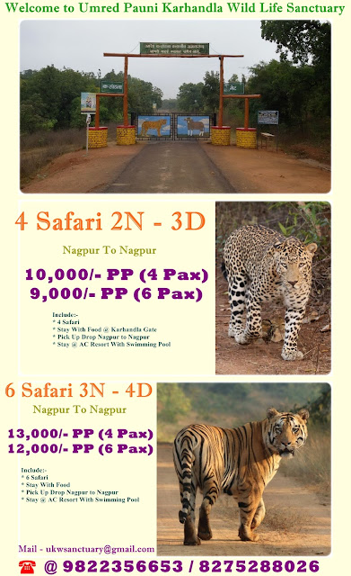 umred karhandla safari rates