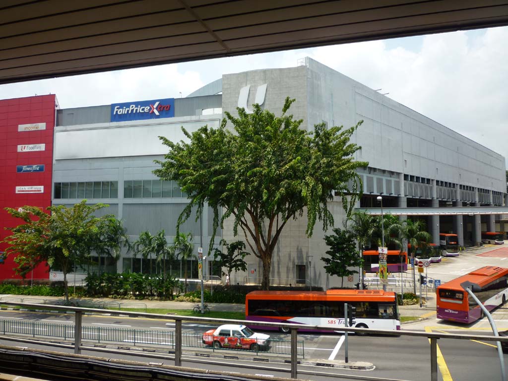 Entertainer How to go Singapore Zoo from Ang Mo Kio MRT Station