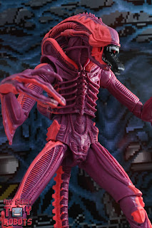 NECA Xenomorph Warrior Arcade Appearance 02