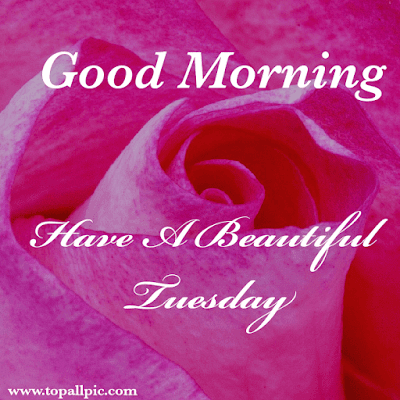 good morning tuesday images good morning tuesday images