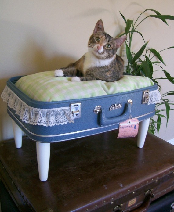 Gatos en casa: Preciosas camas para gatos hechas con maletas viejas