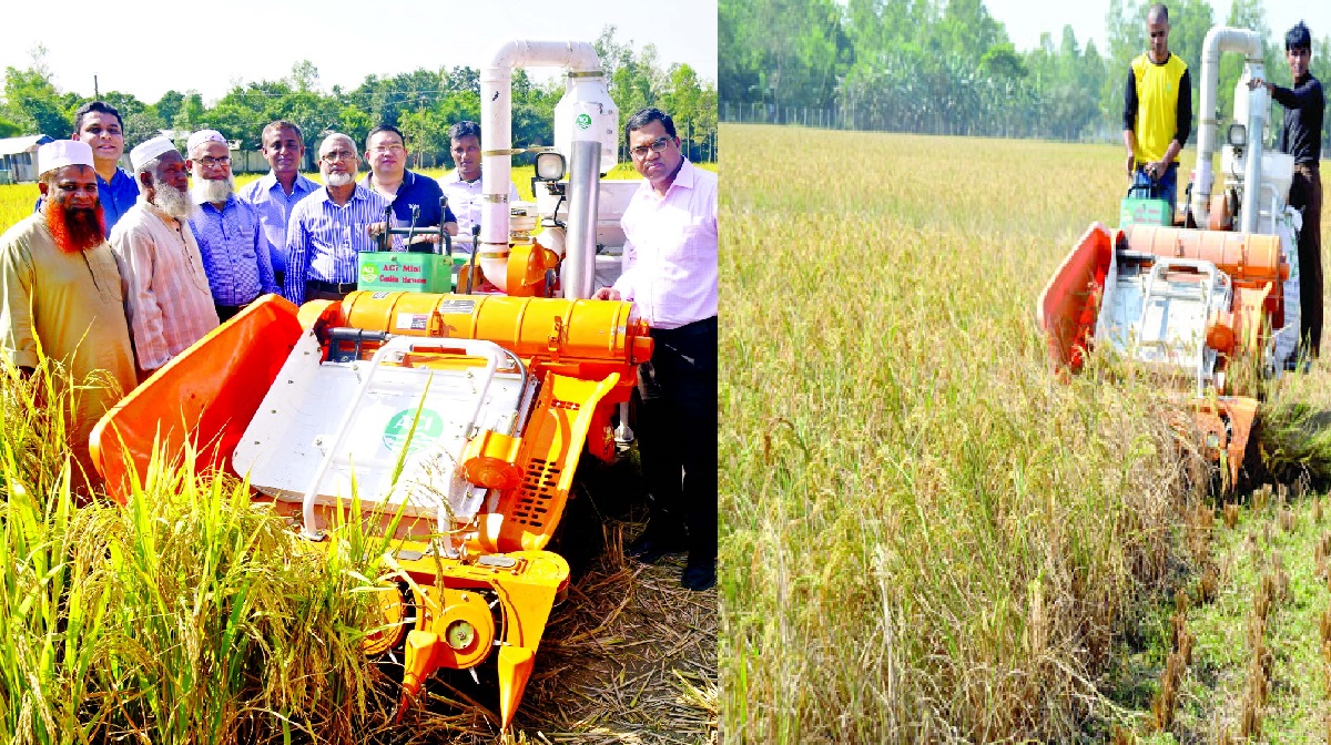 ইউনিয়ন পরিষদ, সেবা,ইউনিয়ন, ইউনিয়ন অফিস, ইউনিয়ন তথ্য ও সেবা কেন্দ্র, উনিয়ন তথ্য সেবা কেন্দ্র