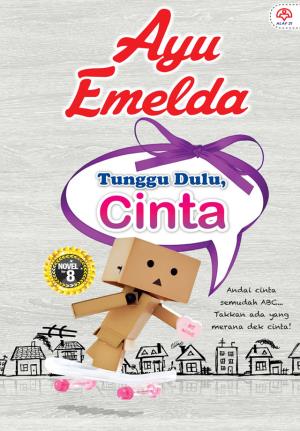 Review Novel Tunggu Dulu Cinta By Ayu Emelda