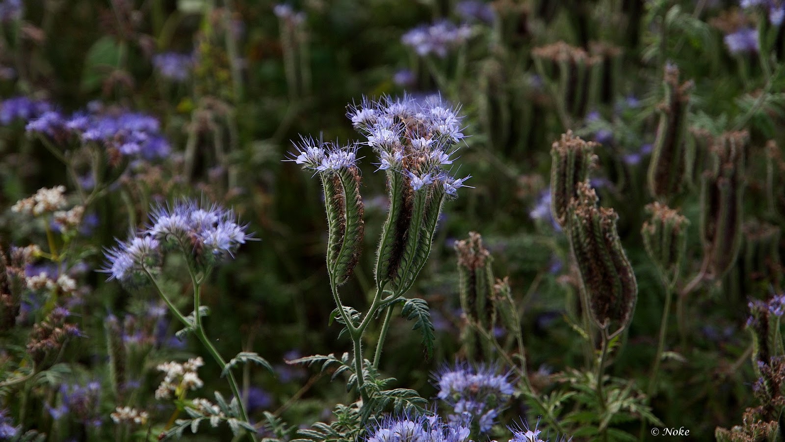 19+ Pic Mix Bilder Background