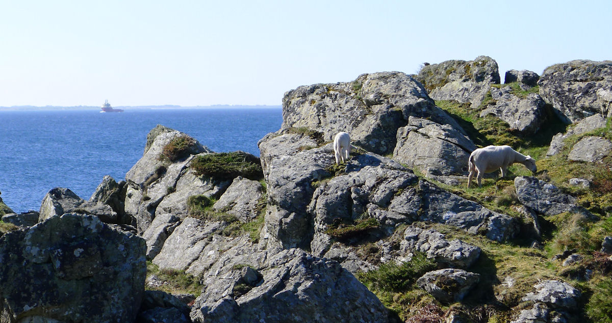 Varanger og seilbåtliv