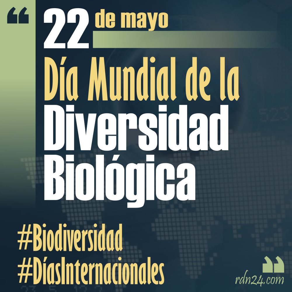 22 de mayo Día Internacional de