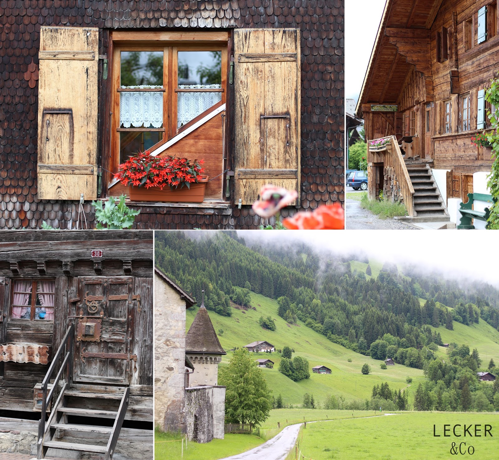 Ruckblick Und Abschied Bergblumengarten