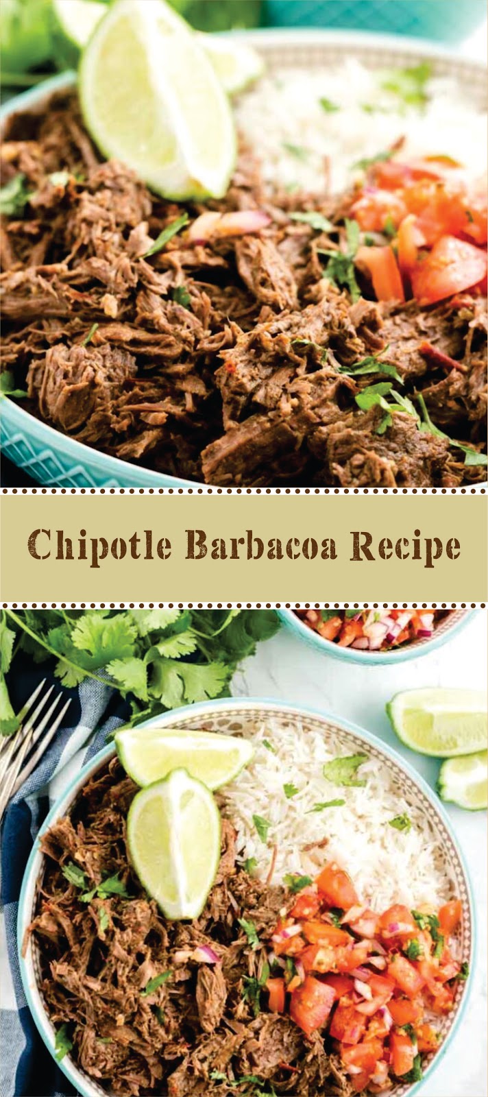 Chipotle Barbacoa Recipe Fast Family Meals