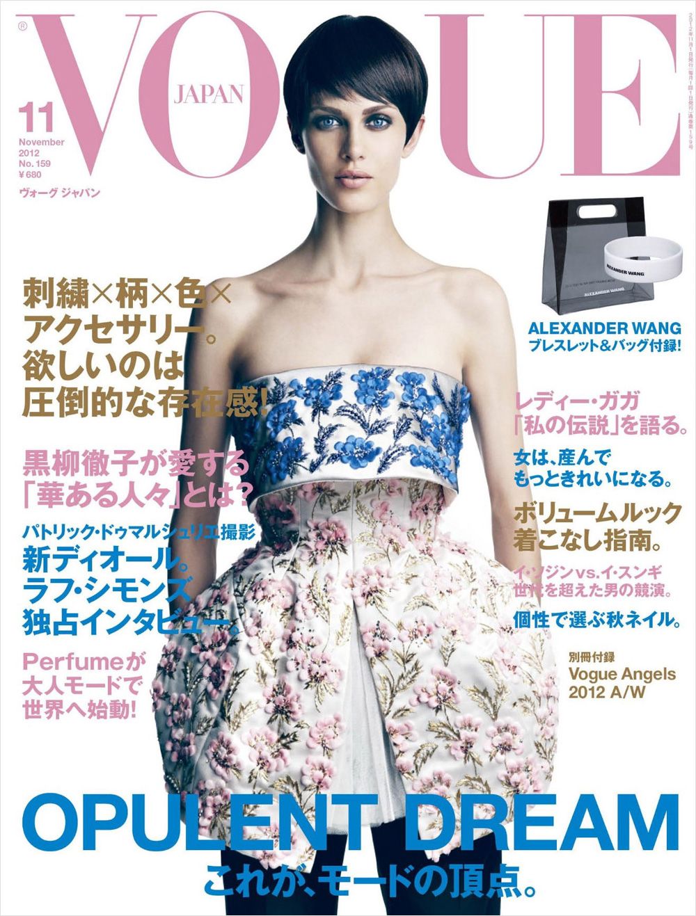 In Vogue 1 Day- Fashion & more...: Vogue Japan 2012 November issue