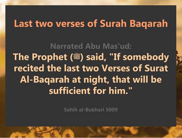 Rewards of Last Two Ayats of Surah Baqarah Quran Recitation and Lessons Rewards of Last Two Ayats of Surah Baqarah Quran Recitation and Lessons