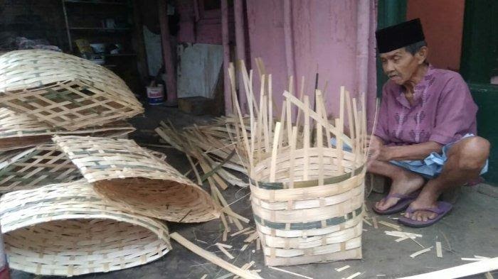 Jenis Bambu  Yang  Paling Baik Digunakan Sebagai Bahan 
