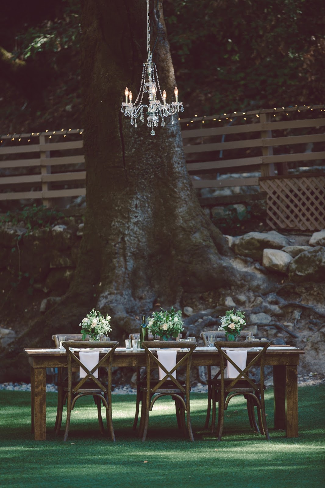 WILLIAMS PARTY RENTALS