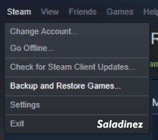 Backup and Restore Games Steam