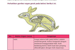 Rangkuman Materi Kelas 5 Tema 1 Subtema 1 Pembelajaran 2 Kurikulum 2013