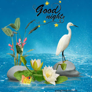 Image On Good Night Image On Good Night