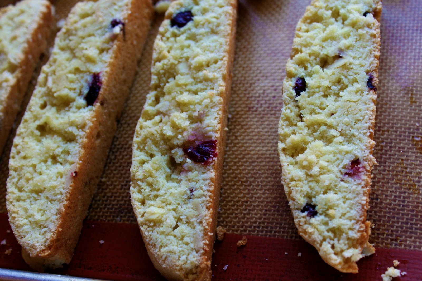 A Feast for the Eyes: Cranberry-Almond Biscotti