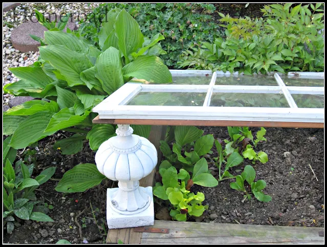 White window greenhouse and white finial