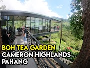 Aktiviti dan Tarikan Di Boh Tea Garden Cameron Highland Pahang