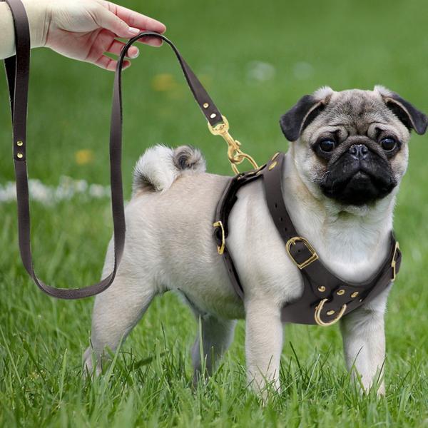 GENUINE LEATHER DOG HARNESS AND LEASH SET GENUINE LEATHER DOG HARNESS AND LEASH SET