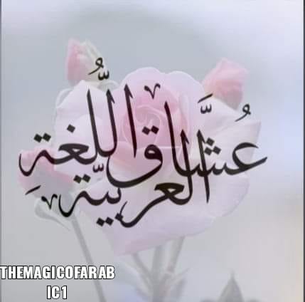 سحر اللغة العربية البلاغة شرح الكناية في البلاغة